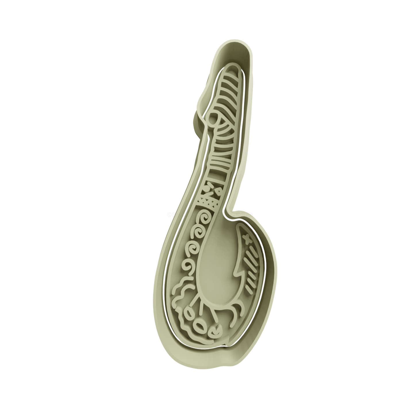 Fish Hook – מואנה